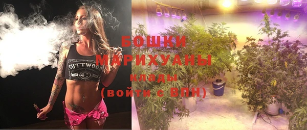 spice Алзамай