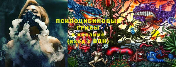 spice Алзамай